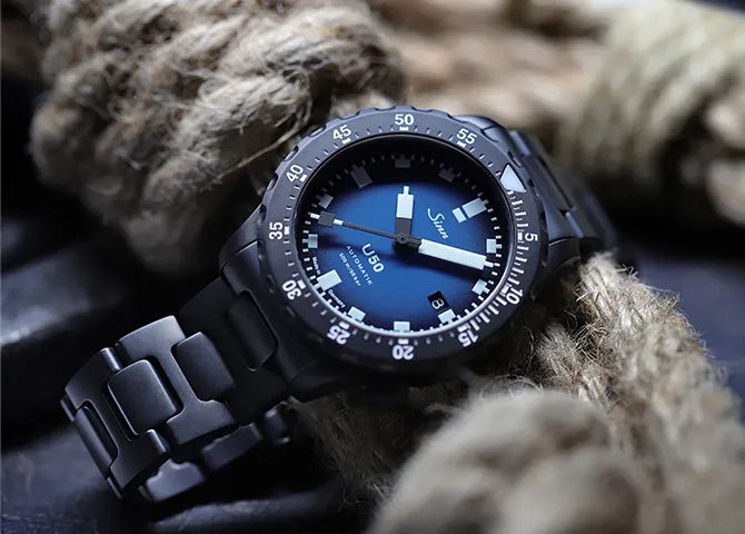 sinn5