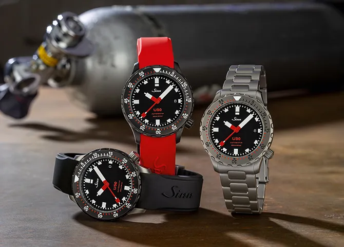 sinn6
